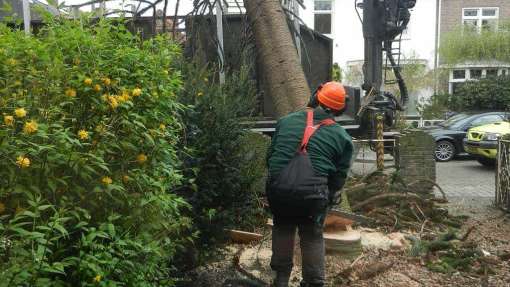 Bomen rooien Herten